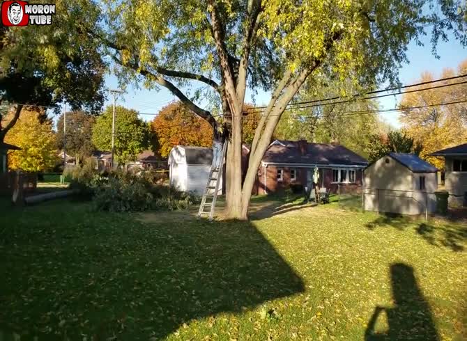 Video :An amateur pruner is retaliated at by a branch
